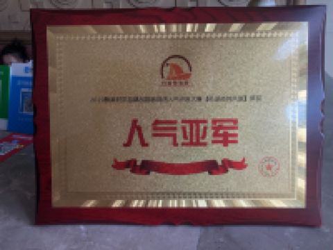 射洪圣湖商务宾馆 - 其他