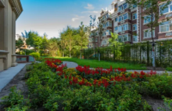 Sunrise Hotel Hotels near Siberia Tiger Park