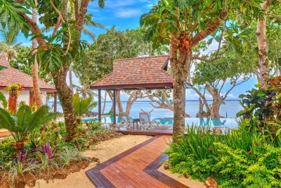 Maui Palms