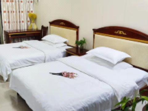 南宁葡萄公寓 - 阳光双床房