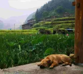 comfortableZhaoXing - Mountain View