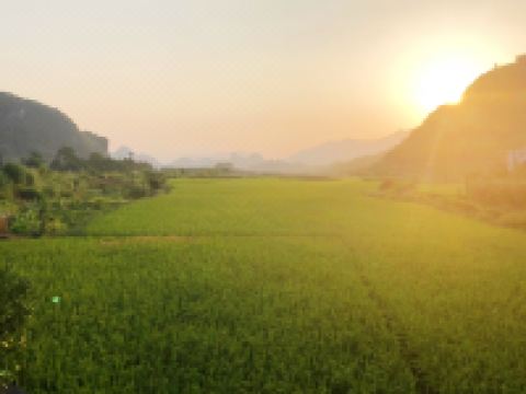 连州河畔小院精品民宿 - 酒店景观