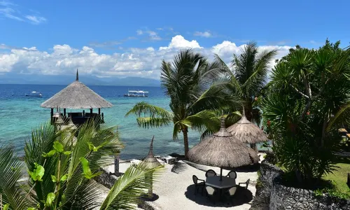 Dolphin House Resort Moalboal
