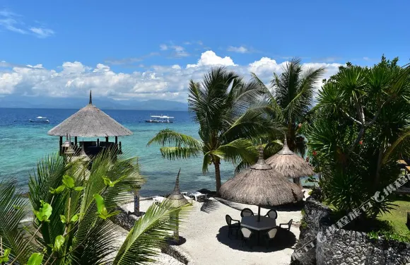 莫阿爾博阿爾海豚之家度假酒店