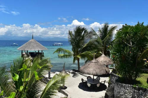 Dolphin House Resort Moalboal Hotels in Moalboal