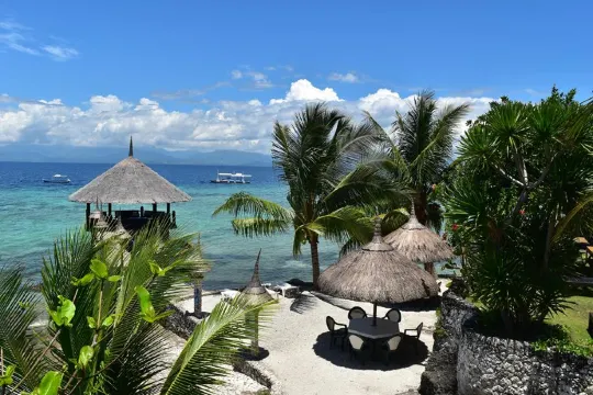 Dolphin House Resort Moalboal