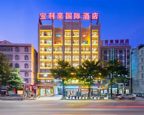 樂東寶利來國際酒店 樂東酒店