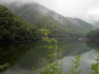 南山竹海一巷一木民宿 - 酒店附近