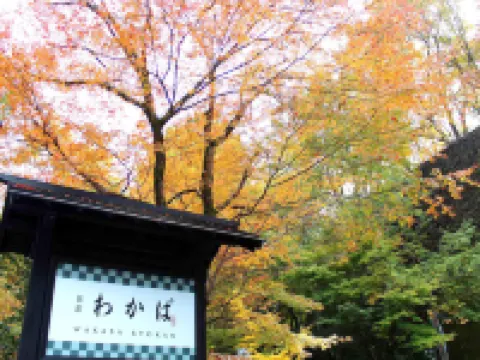 คุโรคาวะออนเซ็น ซังกะเรียวกัง วากาบะ โรงแรมในมินามิโอกูนิ