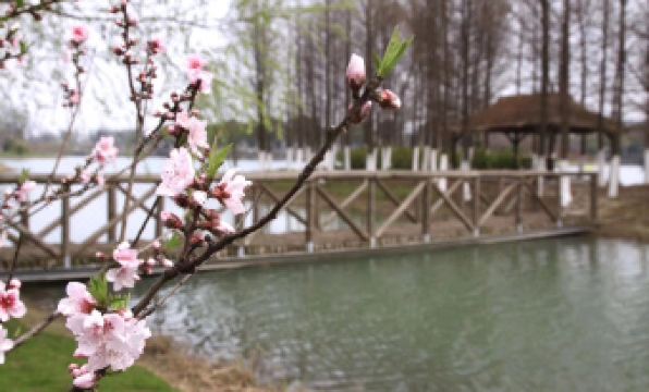 Meizhi Fashion Hotel