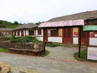 和龙金达莱朝鲜族民宿 - 特色双人房