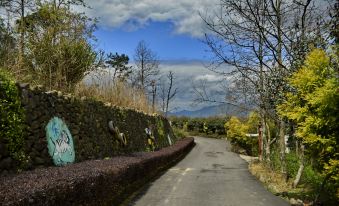 Huiwengu Guesthouse