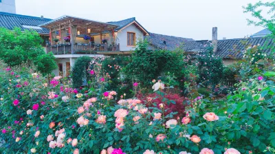 Songyang Nanshan Nanhuayuan Meisu