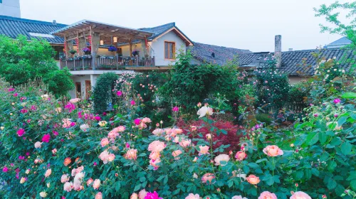 Songyang Nanshan Nanhuayuan Meisu