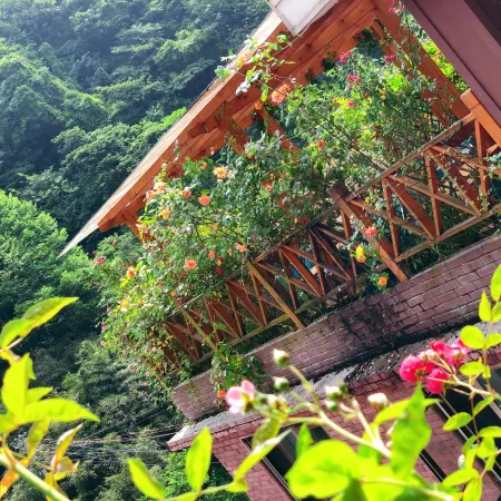 Q+ yunhaiTheme Homestay