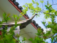 安吉人间天堂春秋度假村 - 花园