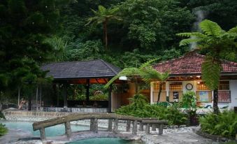 a serene outdoor setting with a swimming pool surrounded by lush greenery , including palm trees and tropical plants at Rainbow Hotel