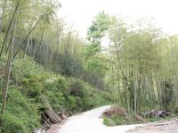 莫干山云淡风轻客栈 - 酒店附近