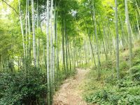莫干山老双桥民宿 - 酒店附近