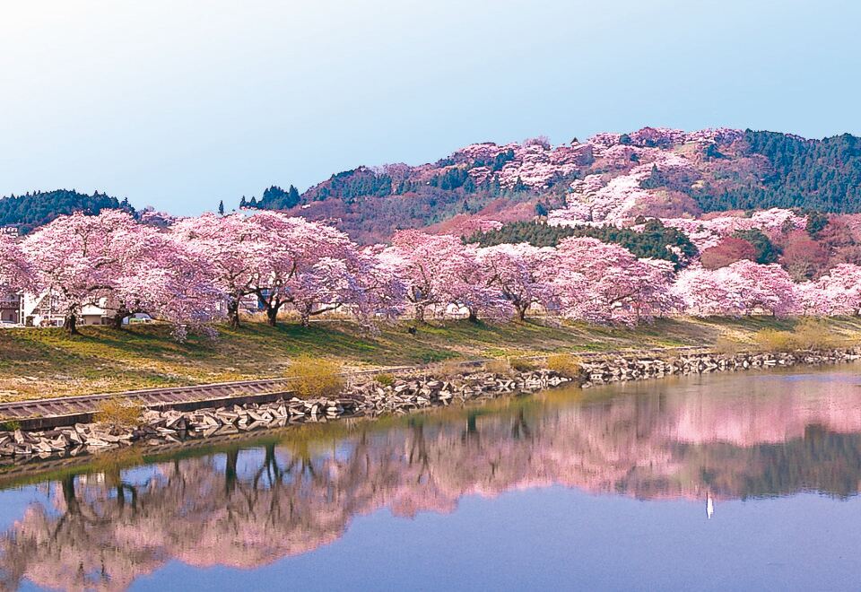 2. 호텔 그린 라인..