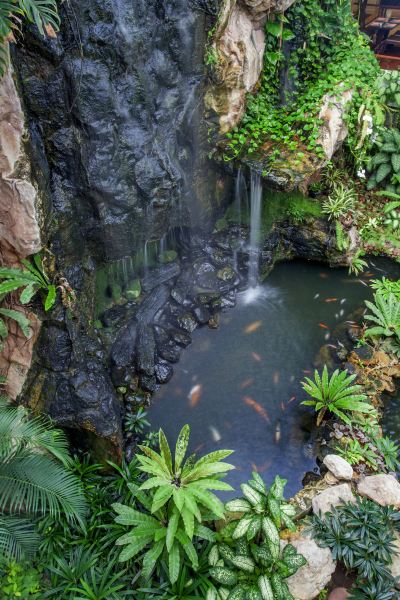 共有エリア デュシタニ パタヤの写真