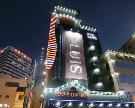 大田Yuseong Louis飯店 大田住宿飯店