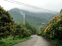 广州增城白水寨绿野山庄 - 酒店外部