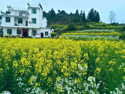 Lingshang Farmhouse Các khách sạn gần Qingyuan