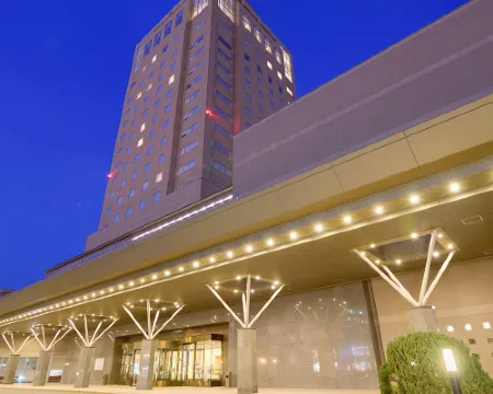 新王寺大酒店 苫小牧市酒店