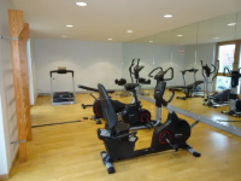 Hotel Baslertor Hotels in Muttenz