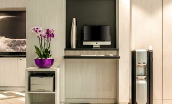 6. Citadine..