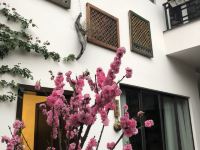 成都花涧生活客栈 - 花园