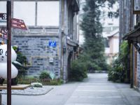 熊猫驿站主题文化酒店(都江堰古城店) - 公共区域