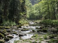 张家界山水商务酒店 - 其他