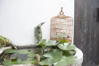 Kuandu Hotel(Nanjing Laomendong Branch) Các khách sạn gần Nanjing Radio and TV University Jianye Branch