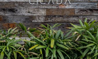 Cicada Luxury Townhouses