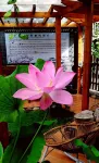 Laodifang Qixian Shuyuan - Inns