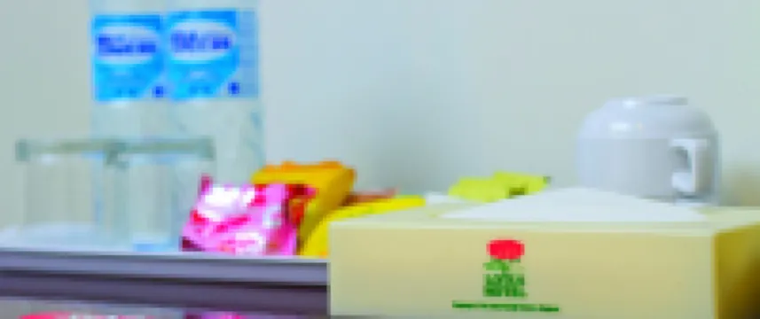 Lotus Hotel Masjid India