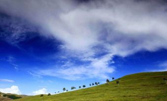 Bashang Grassland West Manor