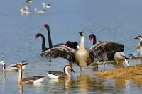 Yangshan Lake Yuyao Inn Hotels in Xiangyin