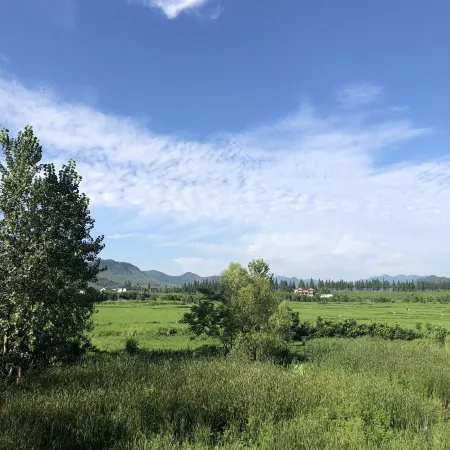 Tasha Dudo Amor Private Tang Castle Homestay (Moganshan Branch)