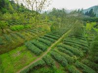 峨眉山行缘居养心公寓 - 茶园麻将二居室家庭套房