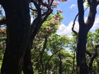 天台山林小筑民宿 - 酒店附近