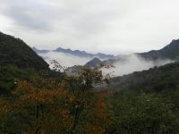 北京花草香农家院 - 酒店景观