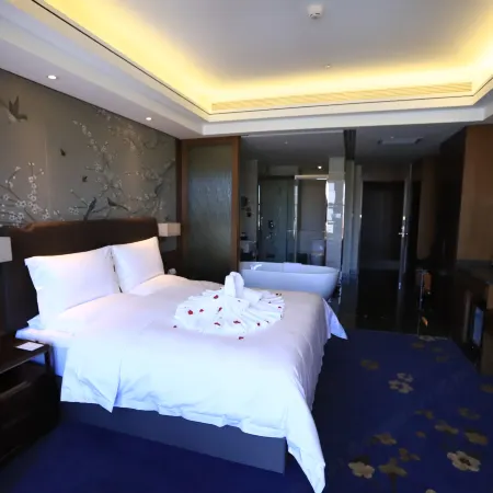 LANDISON VEEGLE HOTEL LONGXI Hotels in Longxi