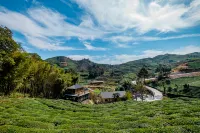 The hidden Valley Hotels near Baizhang Waterfall