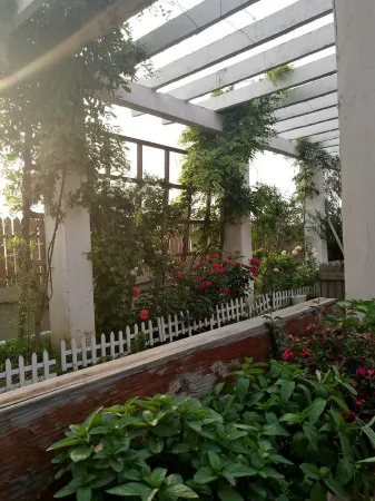 뤄양 안시 국제 유스 호텔(리징먼 스쯔제)