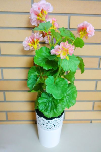 その他 新宿 Sky Capsuleの写真