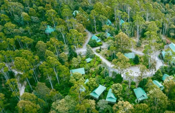 萊蒙泰野外酒店