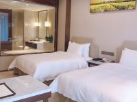 南京世界村酒店 - 高级双床房